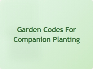 Garden Codes for Companion Planting Guide
