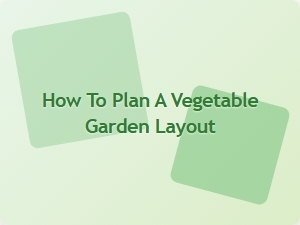 How to Plan a Vegetable Garden Layout