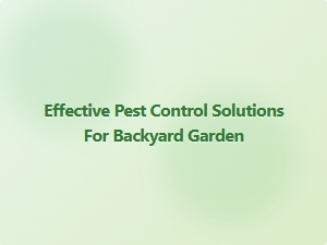 Effective Pest Control Solutions for Backyard Garden