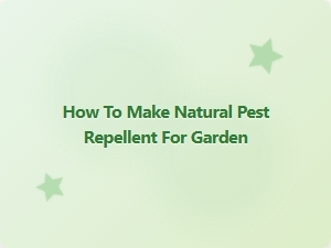 How to Make Natural Pest Repellent for Garden
