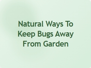 Natural Pest Control for Your Garden