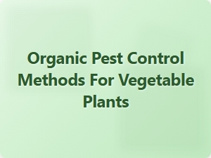 Organic Pest Control Methods for Vegetable Plants