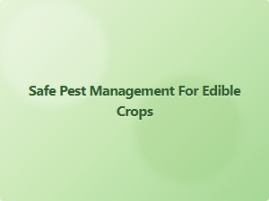 Safe Pest Management for Edible Crops