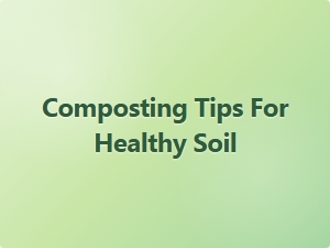 Composting Tips for Healthy Soil Codes