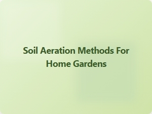 Soil Aeration Techniques for Home Gardens