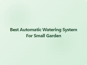 Best Automatic Watering System for Small Garden