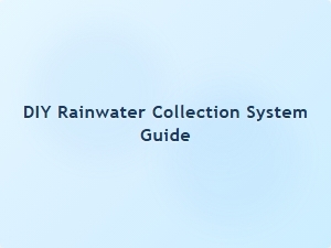 Diy Rainwater Collection System Guide