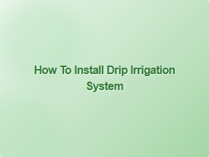 How to Install Drip Irrigation System