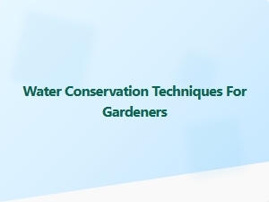 Water Conservation Techniques for Gardeners